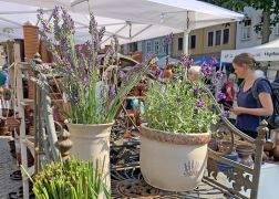 Toepermarkt In Jena 2021 000028